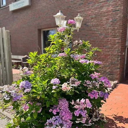 Connect 9.1 Apartment