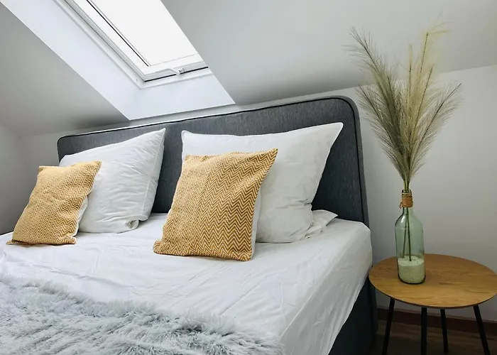 Connect 9.1 * Дорум-Нойфельд