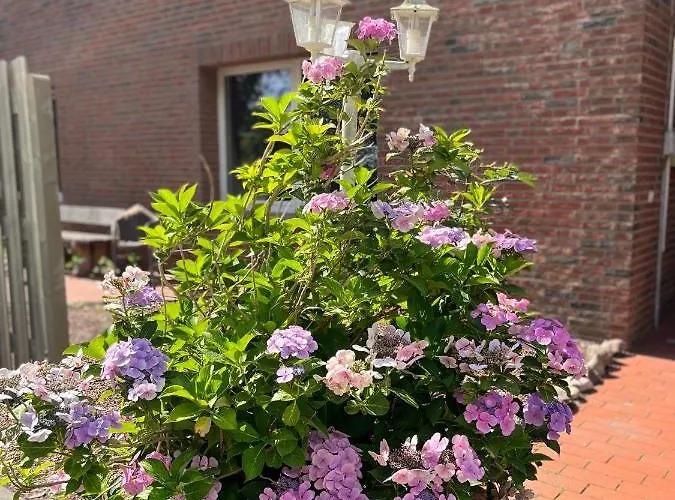 Connect 9.1 Апартаменты